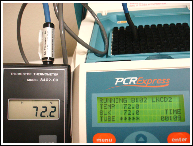 Hybaid Pcr