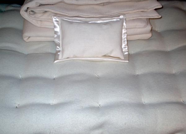 Organic Wool and Hemp Baby Bassinet Futon Mattress 19" x 39"