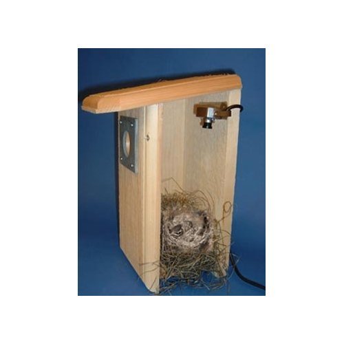 Coveside Birdhouse with Hawk Eye Color Camera N C SHIP   eBay