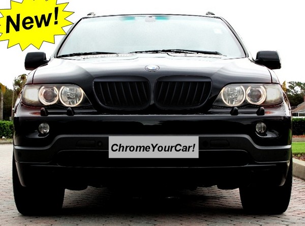 Bmw x5 grille replacement #1