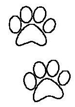 cat footprints