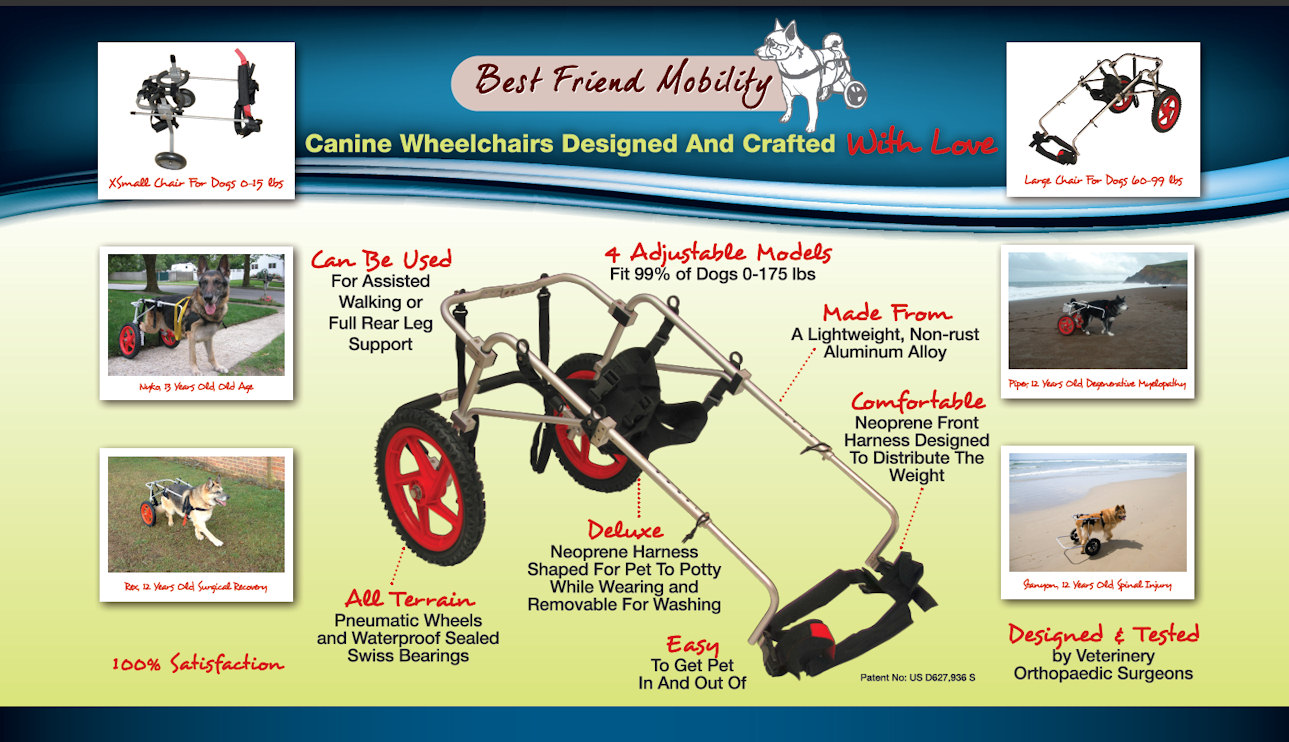 NEW Best Friend Mobility Dogs Wheelchairs Cart All Sizes | eBay