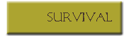 Survival Gear