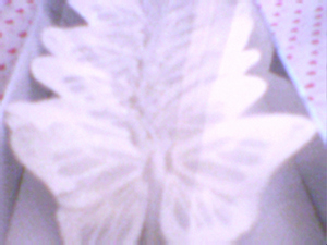 SNOW WHITE IRRI GLITTER FEATHER BUTTERFLY WEDDINGS