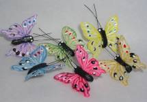 24 BEAUTIFUL SPOTTED FEATHER BUTTERFLIES