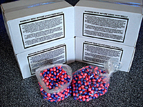 8000 ROUNDS PREMIUM WOODSBALL PAINTBALLS  FREE SHIP!