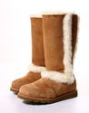 To add this item in your Shopping Cart drag and drop this picture there