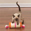 To add this item in your Shopping Cart drag and drop this picture there
