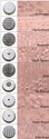 9 IN 1 TEXTURING HAMMER BY EUROTOOL