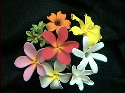 Flower Hair Picks: 8 Hawaiian Flowers. Price: $31.95