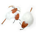 To add this item in your Shopping Cart drag and drop this picture there