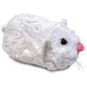 To add this item in your Shopping Cart drag and drop this picture there