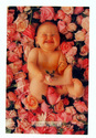 To add this item in your Shopping Cart drag and drop this picture there