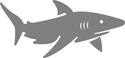 Shark Decal /Sticker -You Pick Color!