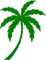 Palm Tree Beach Decal / Sticker - You Pick Color!!