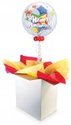 To add this item in your Shopping Cart drag and drop this picture there