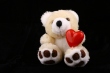 To add this item in your Shopping Cart drag and drop this picture there