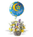 To add this item in your Shopping Cart drag and drop this picture there