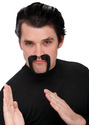 To add this item in your Shopping Cart drag and drop this picture there