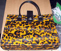 To add this item in your Shopping Cart drag and drop this picture there