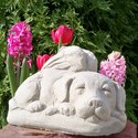 dog and cat statues