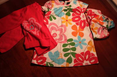 Toddler Girl Clothing Stores on Kellie44012   Baby Gap Girl S Flower Dress And Sweater Size 12 24 M