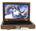 Click here to view item details