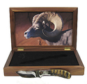 Click here to view item details
