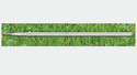 Click here to view item details