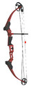 Click here to view item details