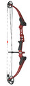 Click here to view item details