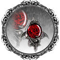 To add this item in your Shopping Cart drag and drop this picture there