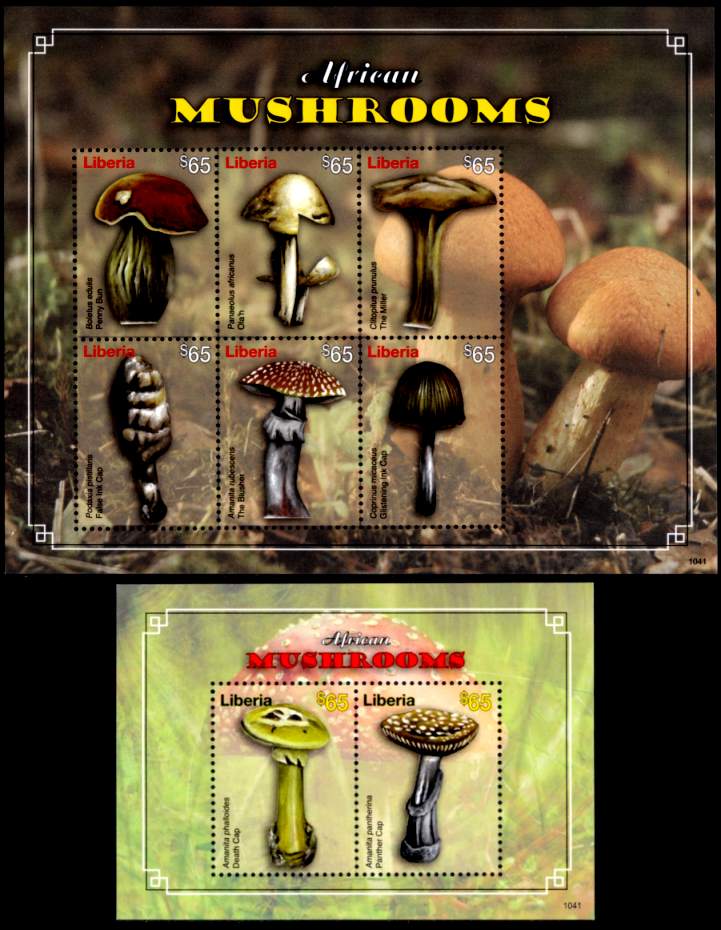African Mushrooms