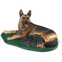 To add this item in your Shopping Cart drag and drop this picture there