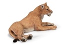 To add this item in your Shopping Cart drag and drop this picture there