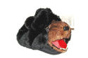 To add this item in your Shopping Cart drag and drop this picture there