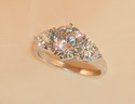To add this item in your Shopping Cart drag and drop this picture there
