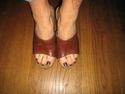 To add this item in your Shopping Cart drag and drop this picture there