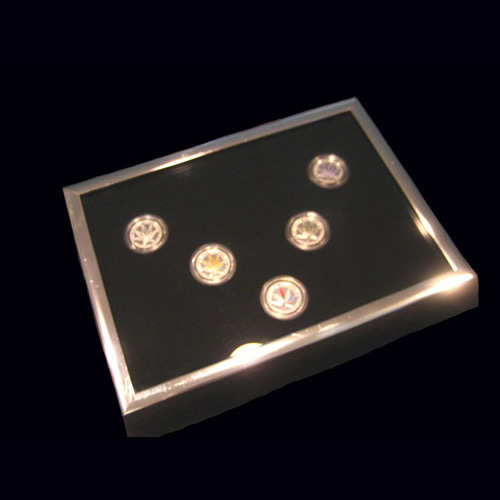 Rising Star Mint Inc.
