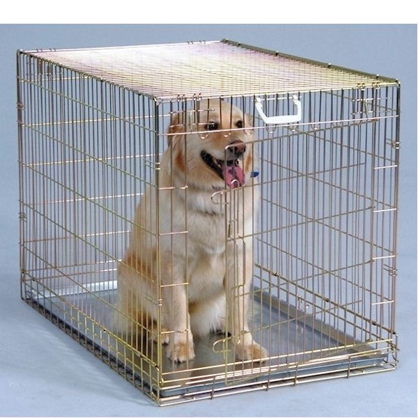 Extra Large Fold Down Dog Pet Crate extra large dog crate,extra large dog kennel,metal dog crate pans,extra large dog cages