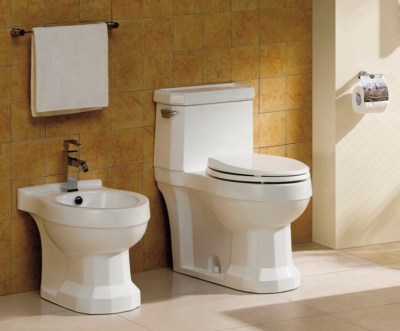 Bidet Modern Kohler Toilet Seat Sprayer Toto Electric Shower Sink ...