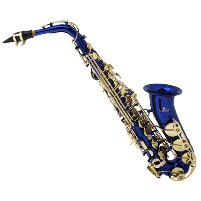 Cecilio as 280 Alto Saxophone Sax Book Tuner Gold Silver ...