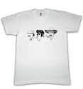 To add this item in your Shopping Cart drag and drop this picture there