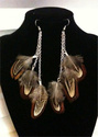 To add this item in your Shopping Cart drag and drop this picture there