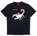 To add this item in your Shopping Cart drag and drop this picture there