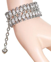 To add this item in your Shopping Cart drag and drop this picture there