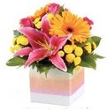 To add this item in your Shopping Cart drag and drop this picture there