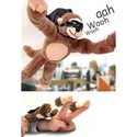 To add this item in your Shopping Cart drag and drop this picture there