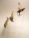 Triple Fishing Lure Display Stand