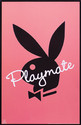 To add this item in your Shopping Cart drag and drop this picture there